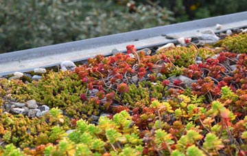 the cost of Wall Heath green roof installation