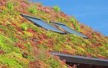 Wall Heath living roof systems
